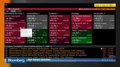 bloomberg fixed income database.